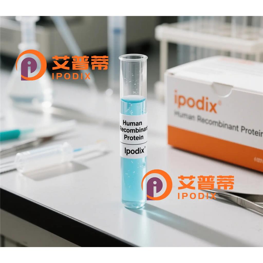 HSP10抗体;HSP10 Antibody—艾普蒂
