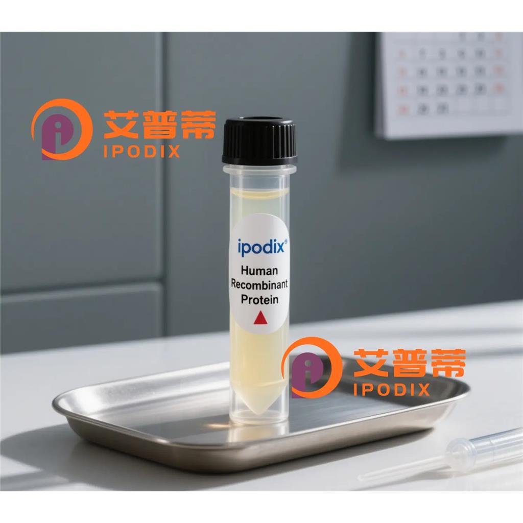 PICALM抗体;PICALM Antibody—艾普蒂