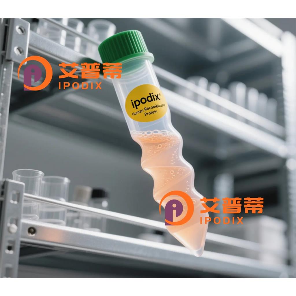 SART1抗体;SART1 Antibody—艾普蒂