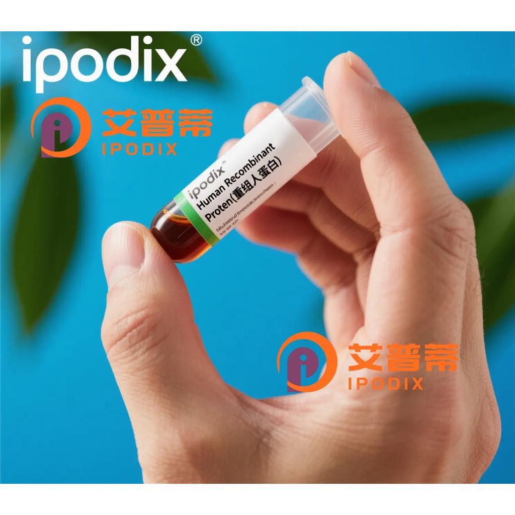 Uroplakin3a抗体;Uroplakin3a Antibody—艾普蒂