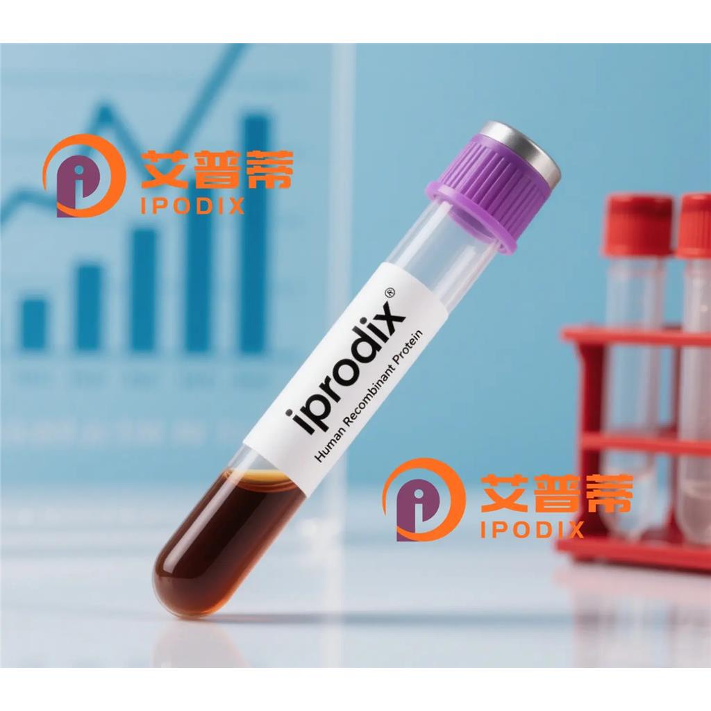 TFE3抗体;TFE3 Antibody—艾普蒂