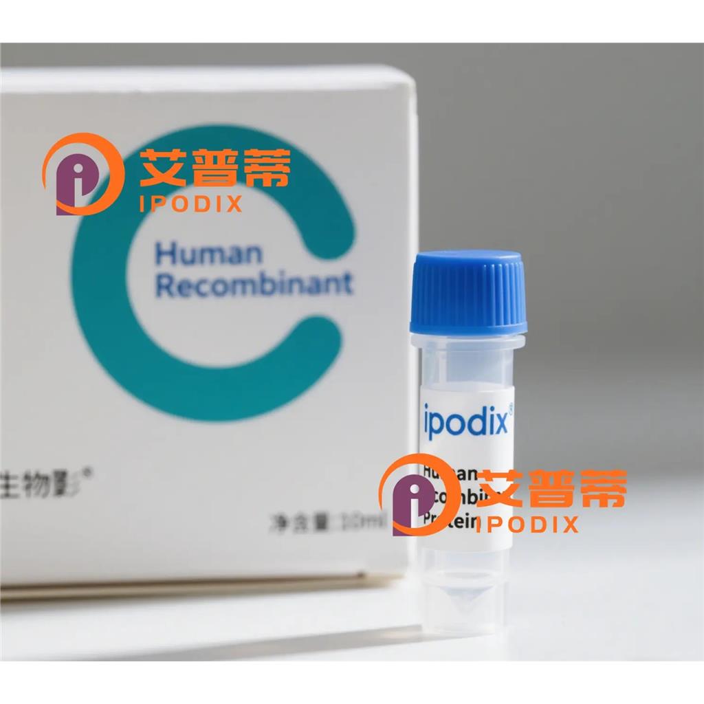 HSF2抗体;HSF2 Antibody—艾普蒂
