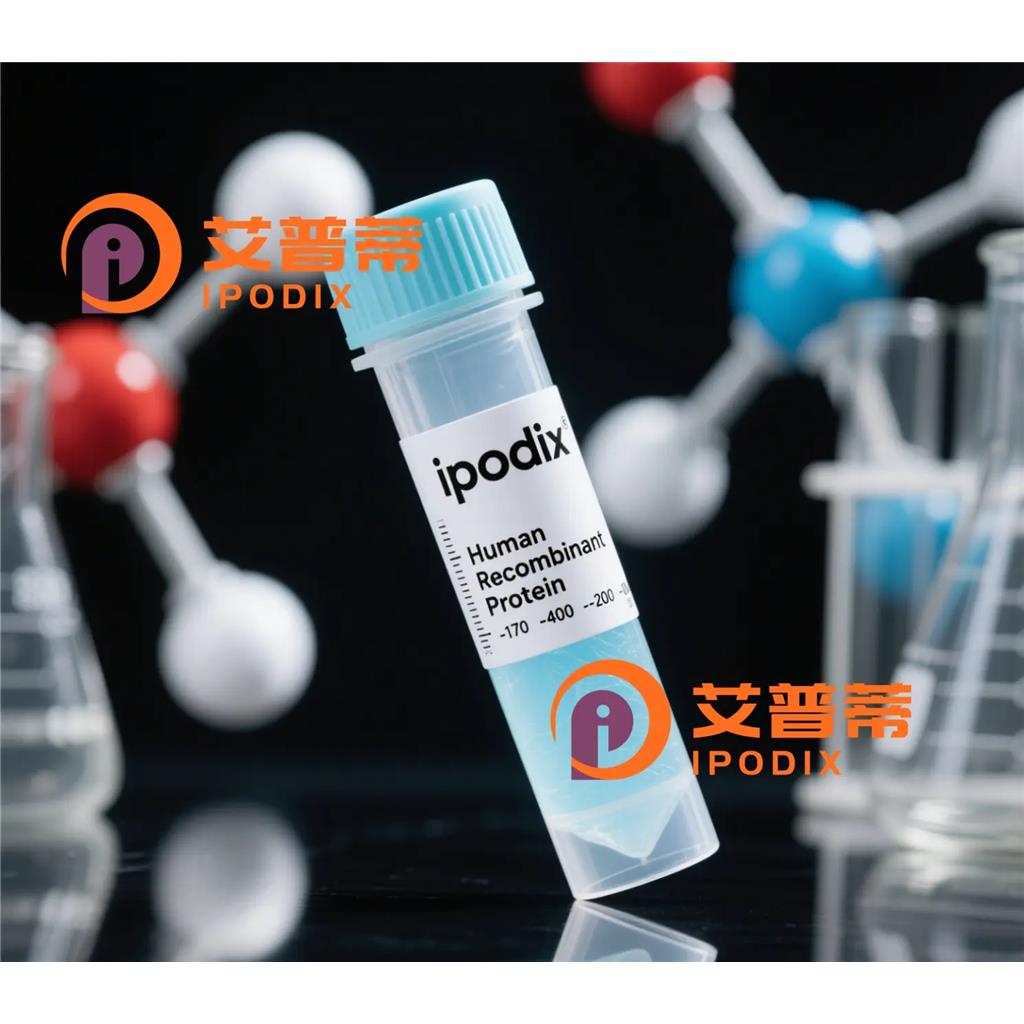 HTSF1抗体;HTSF1 Antibody—艾普蒂