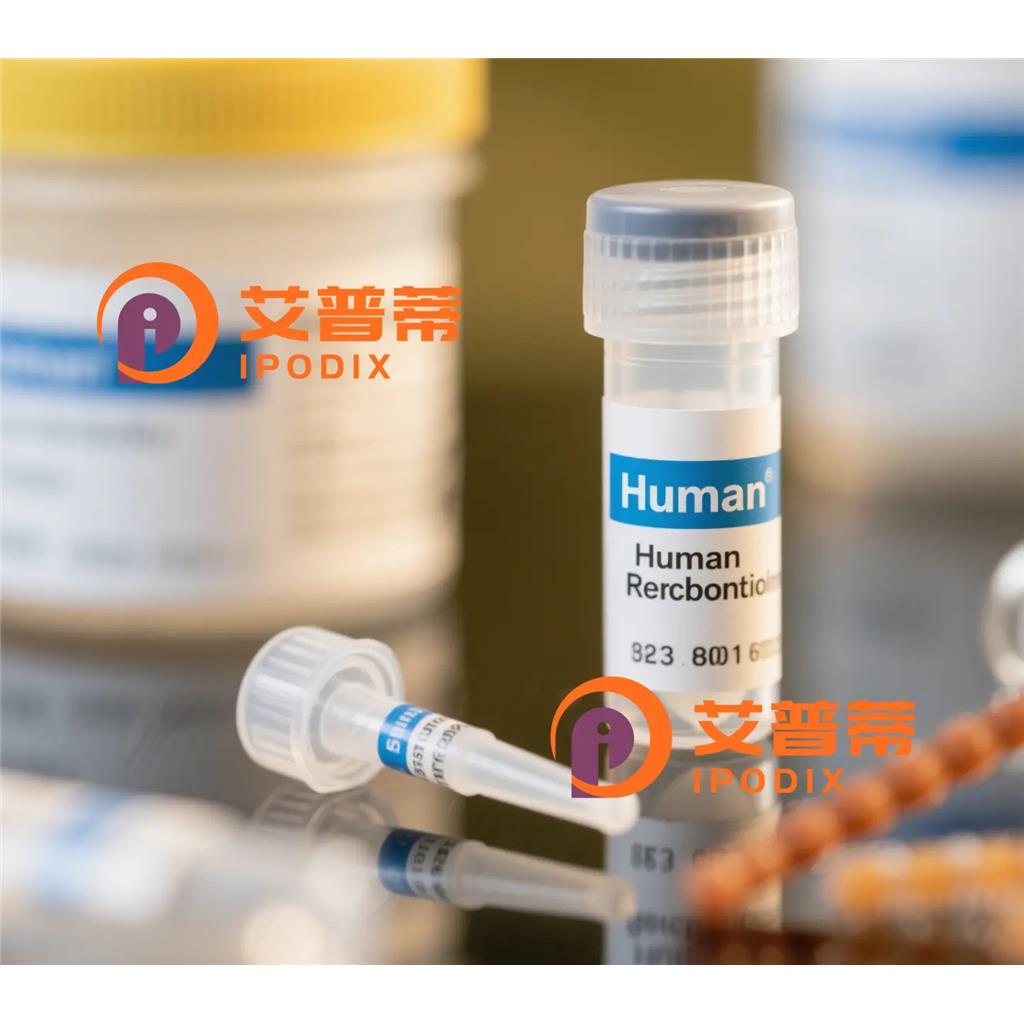 HTSF1抗体;HTSF1 Antibody—艾普蒂