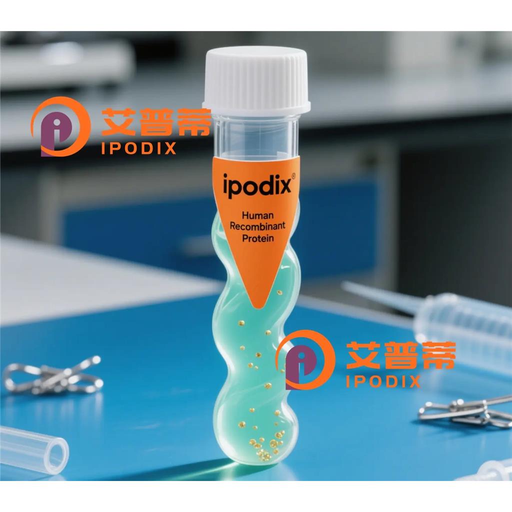 Wnt16抗体;Wnt16 Antibody—艾普蒂