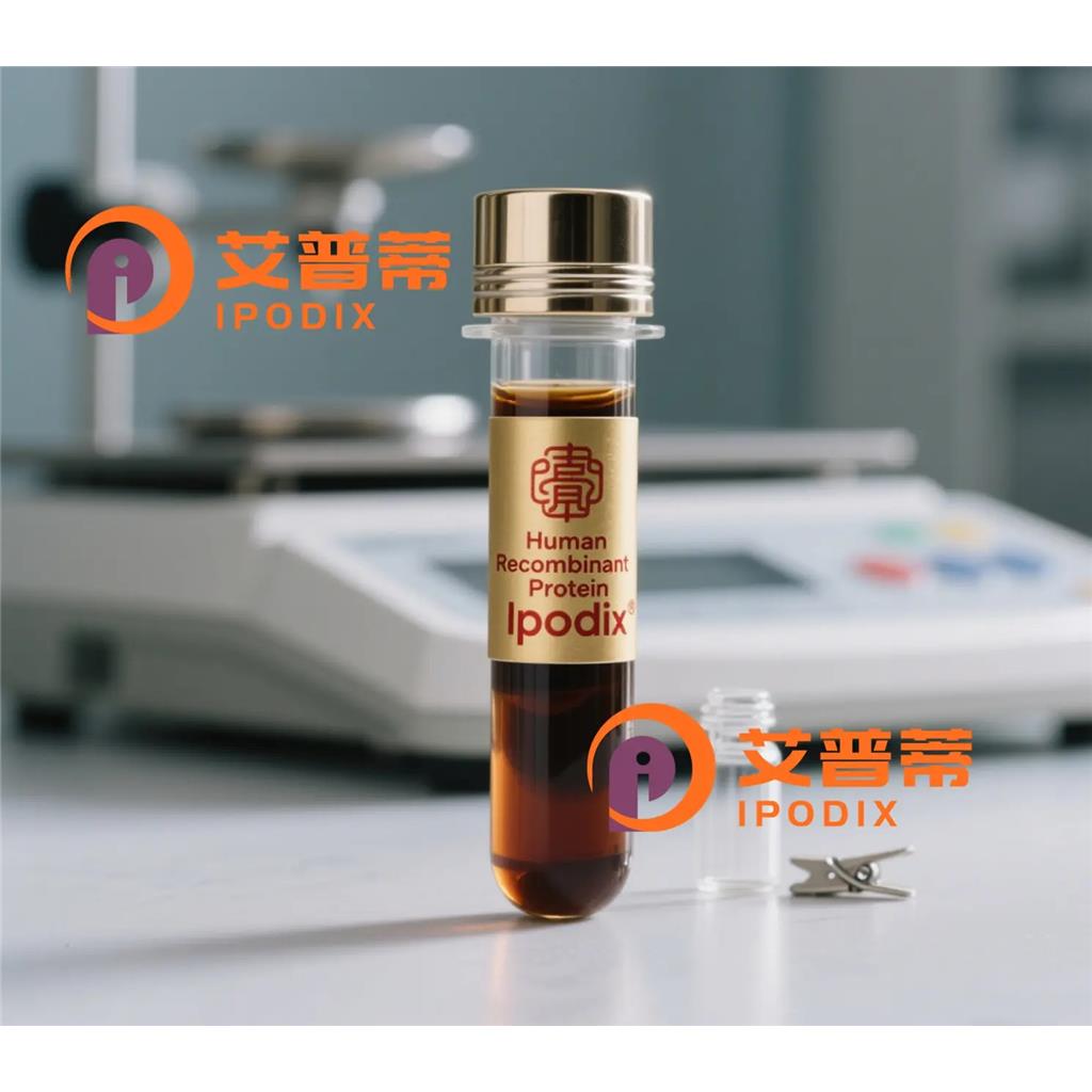 Wnt16抗体;Wnt16 Antibody—艾普蒂