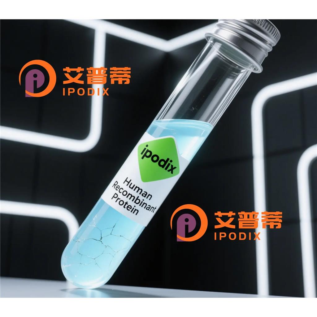 RBMXL2抗体;RBMXL2 Antibody—艾普蒂