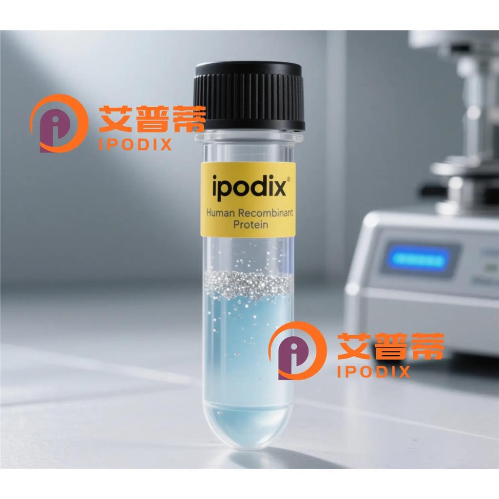 Phospho-CDC37 (Ser13)抗体;Phospho-CDC37 (Ser13) Antibody—艾普蒂