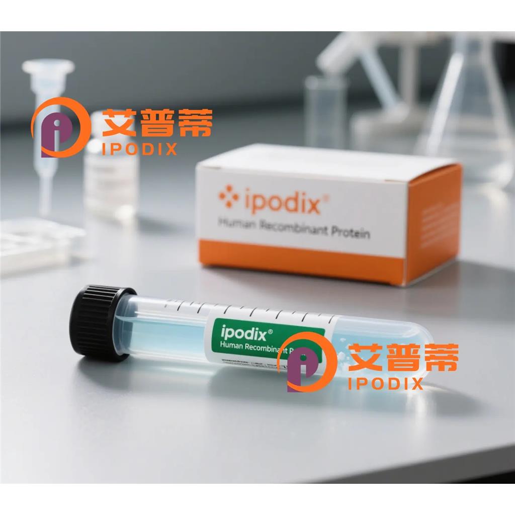 Phospho-STAT3 (Tyr705)抗体;Phospho-STAT3 (Tyr705) Antibody—艾普蒂