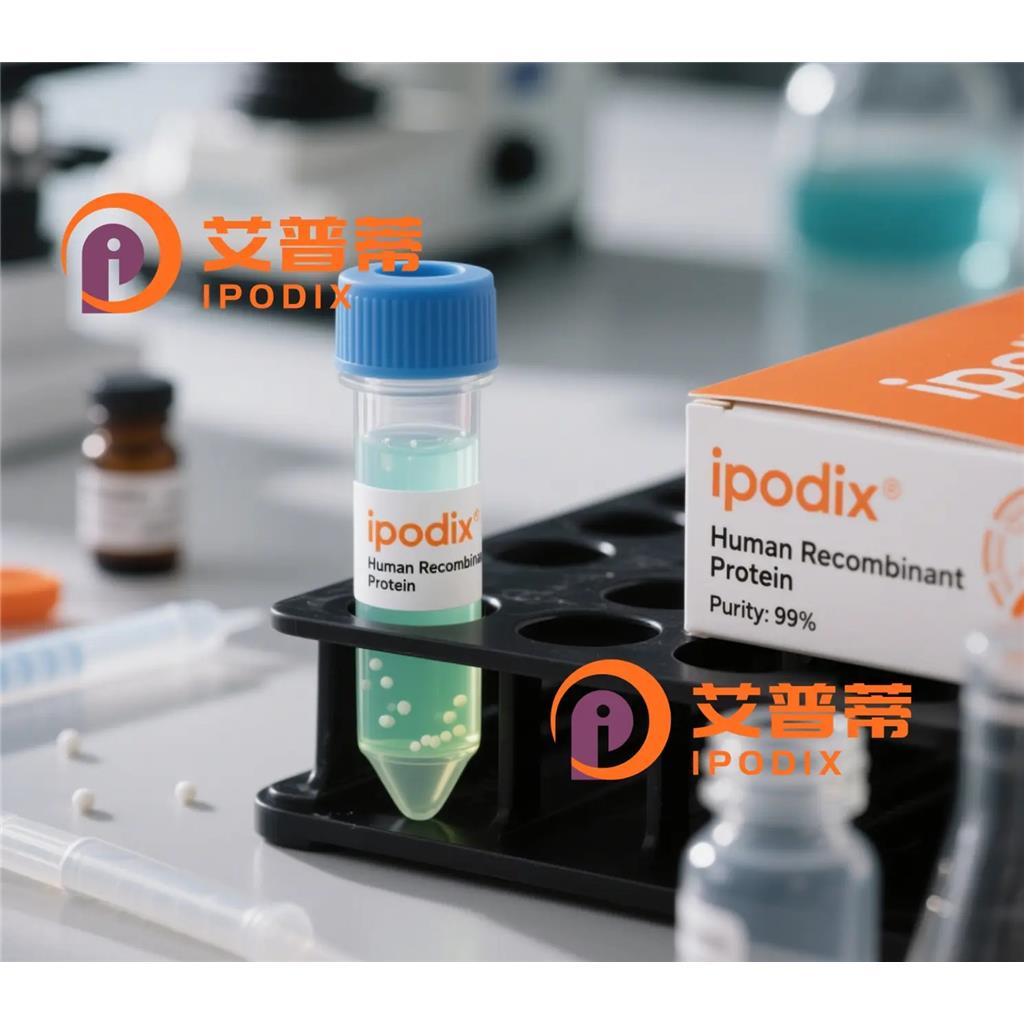 Phospho-alpha 1 Sodium Potassium ATPase (Ser23)抗体;Phospho-alpha 1 Sodium Potassium ATPase (Ser23) Antibody—艾普蒂