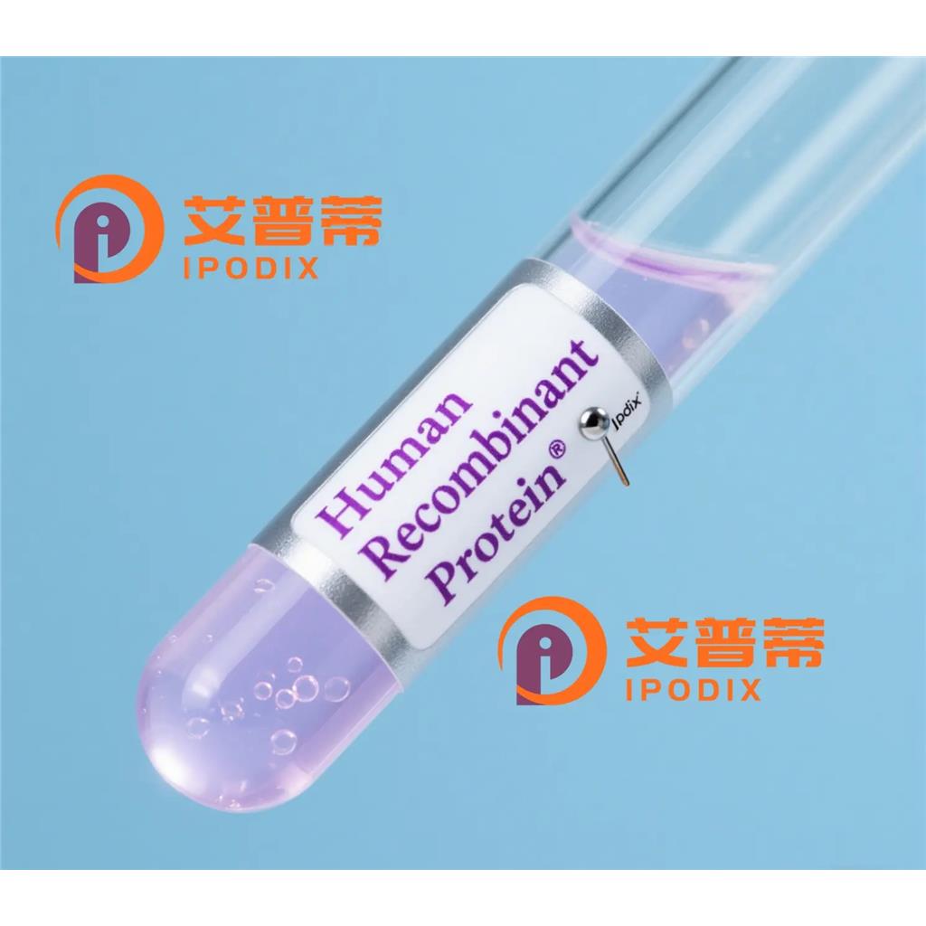 Phospho-STAT6 (Tyr641)抗体;Phospho-STAT6 (Tyr641) Antibody—艾普蒂