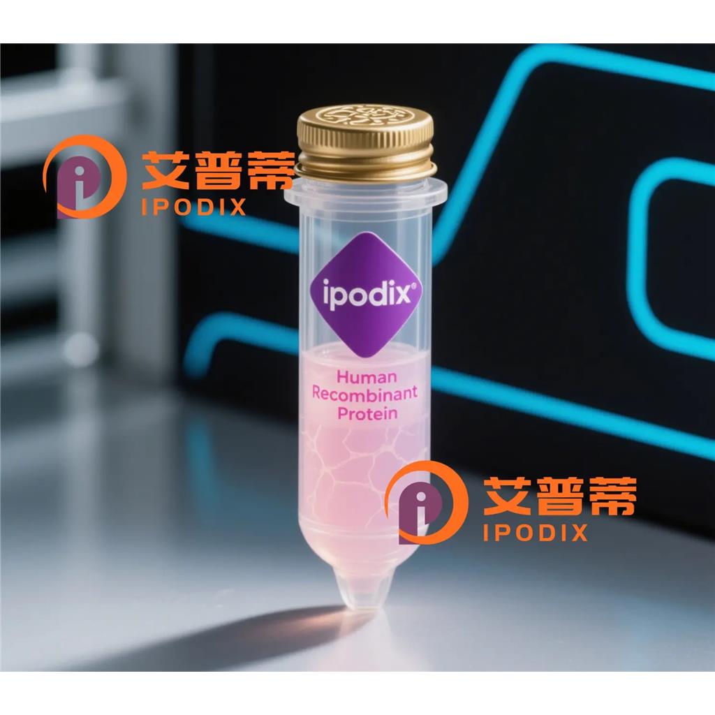 NBR1抗体;NBR1 Antibody—艾普蒂