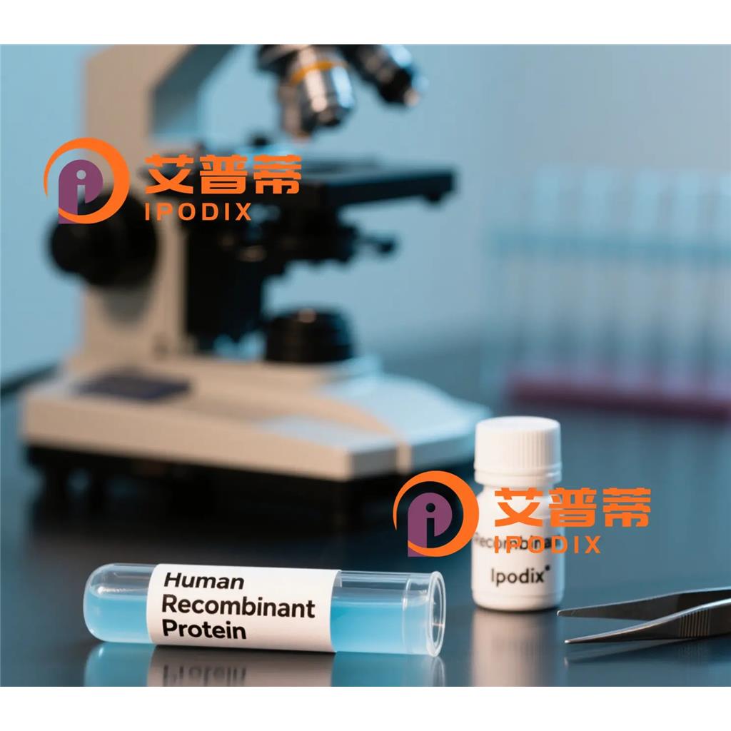 Hsc70抗体;Hsc70 Antibody—艾普蒂