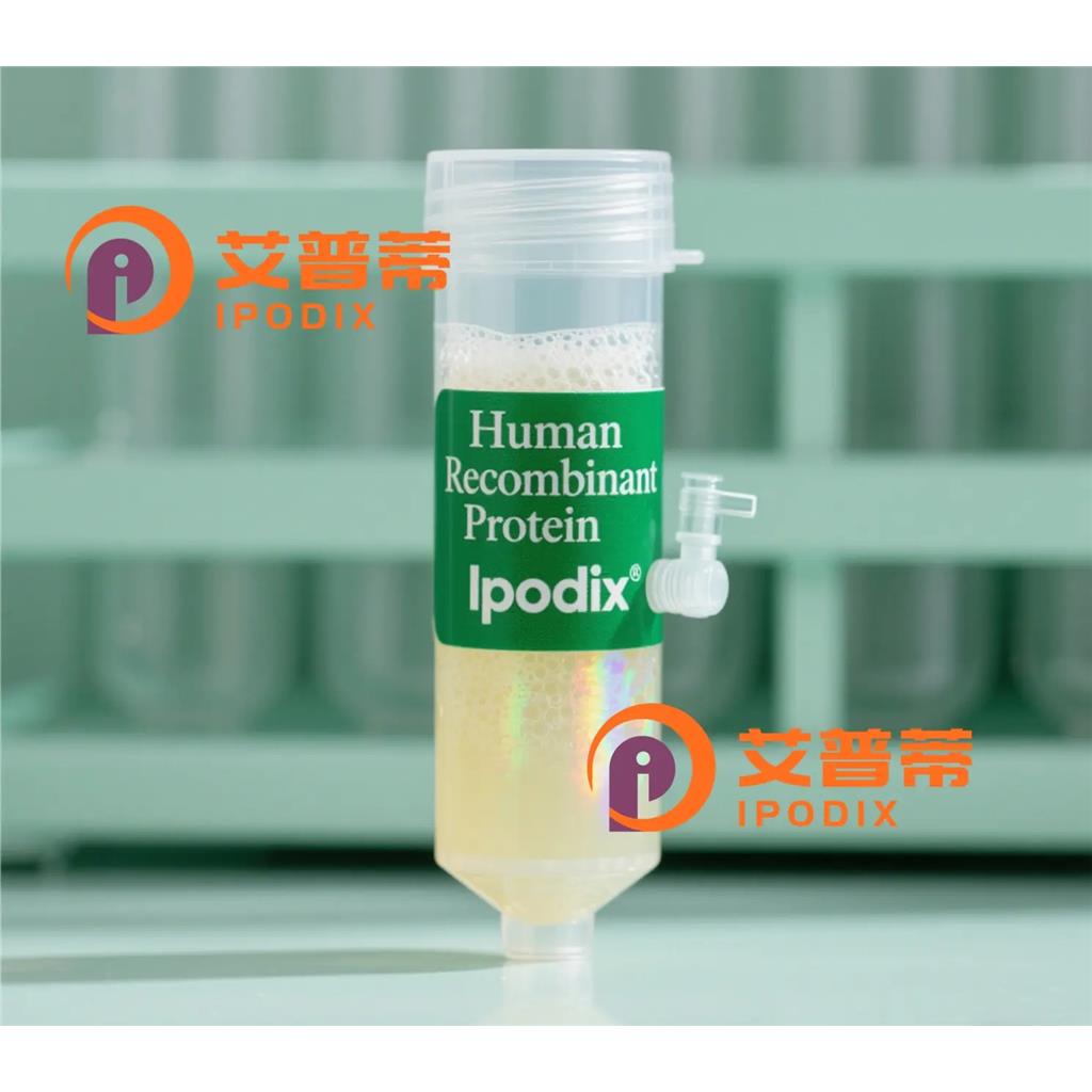 SHP1抗体;SHP1 Antibody—艾普蒂