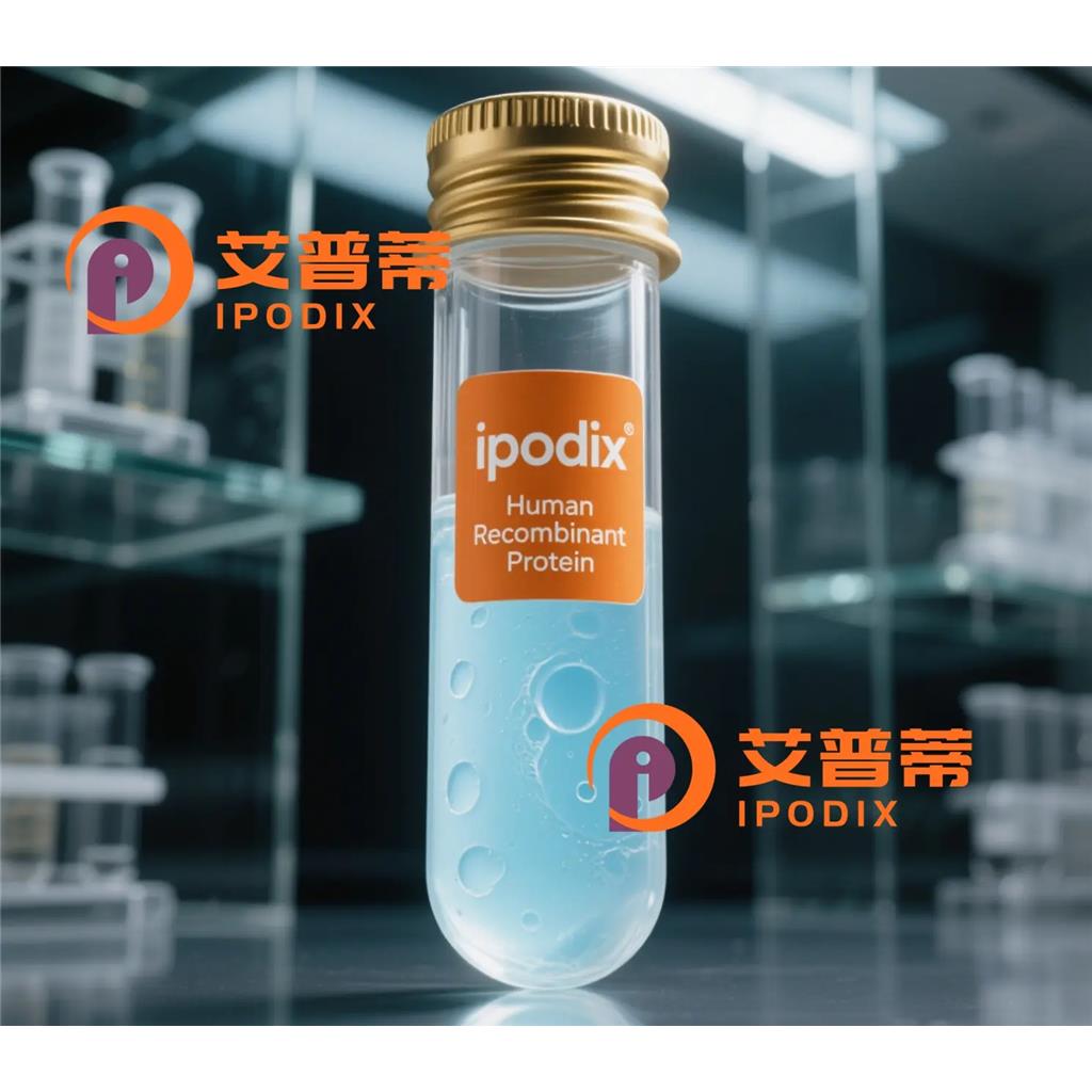 Wnt3抗体;Wnt3 Antibody—艾普蒂