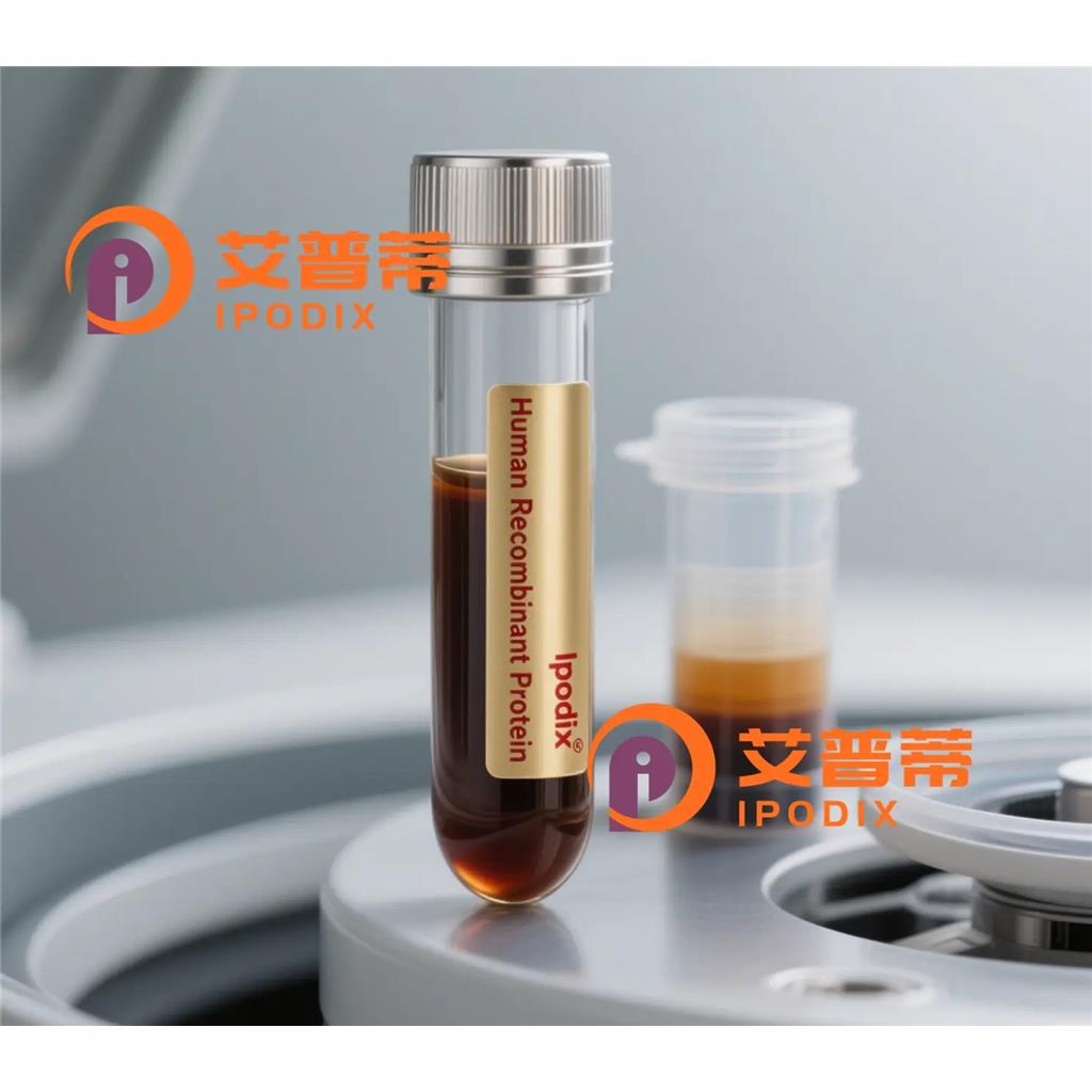 ASK1抗体;ASK1 Antibody—艾普蒂