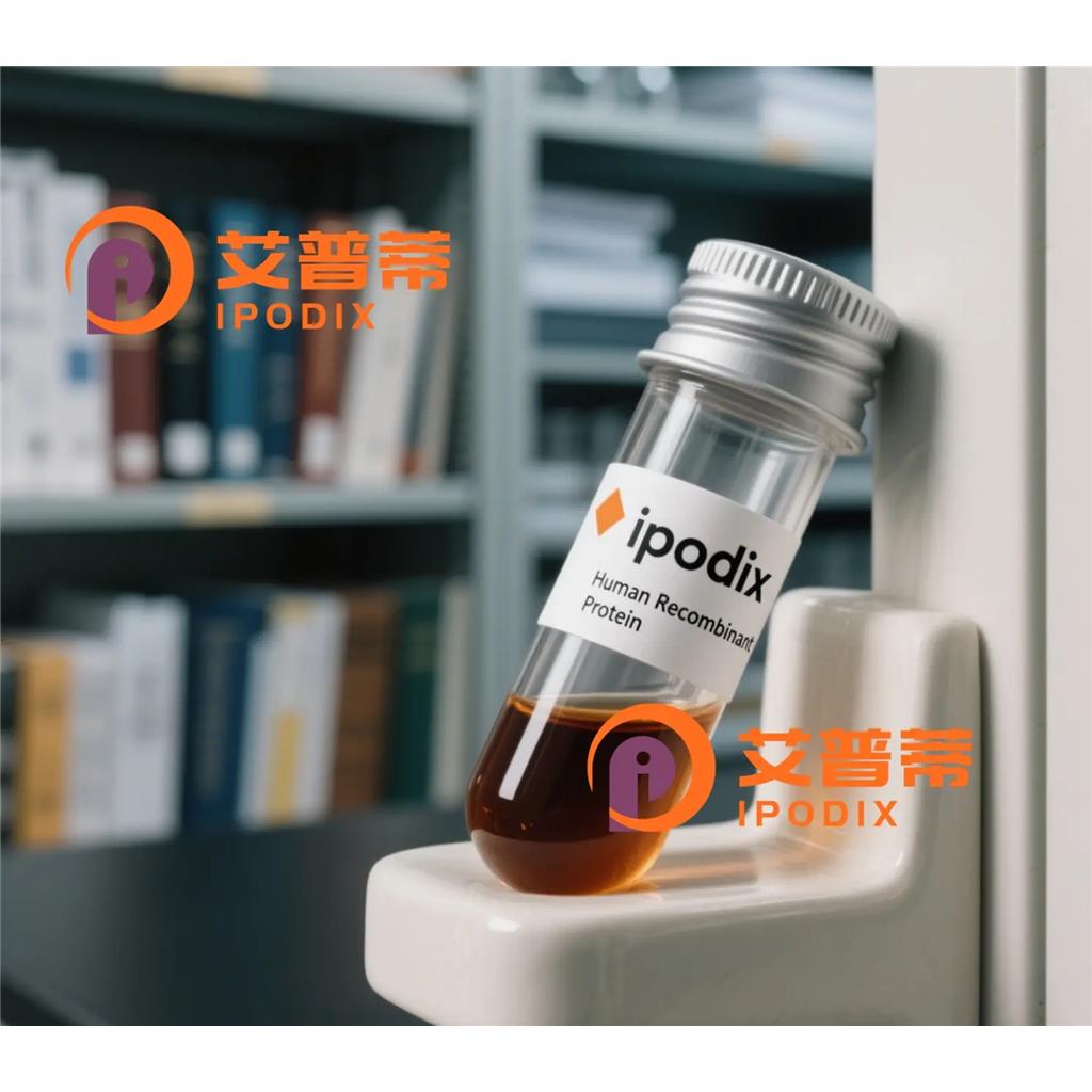 Ataxin 1抗体;Ataxin 1 Antibody—艾普蒂