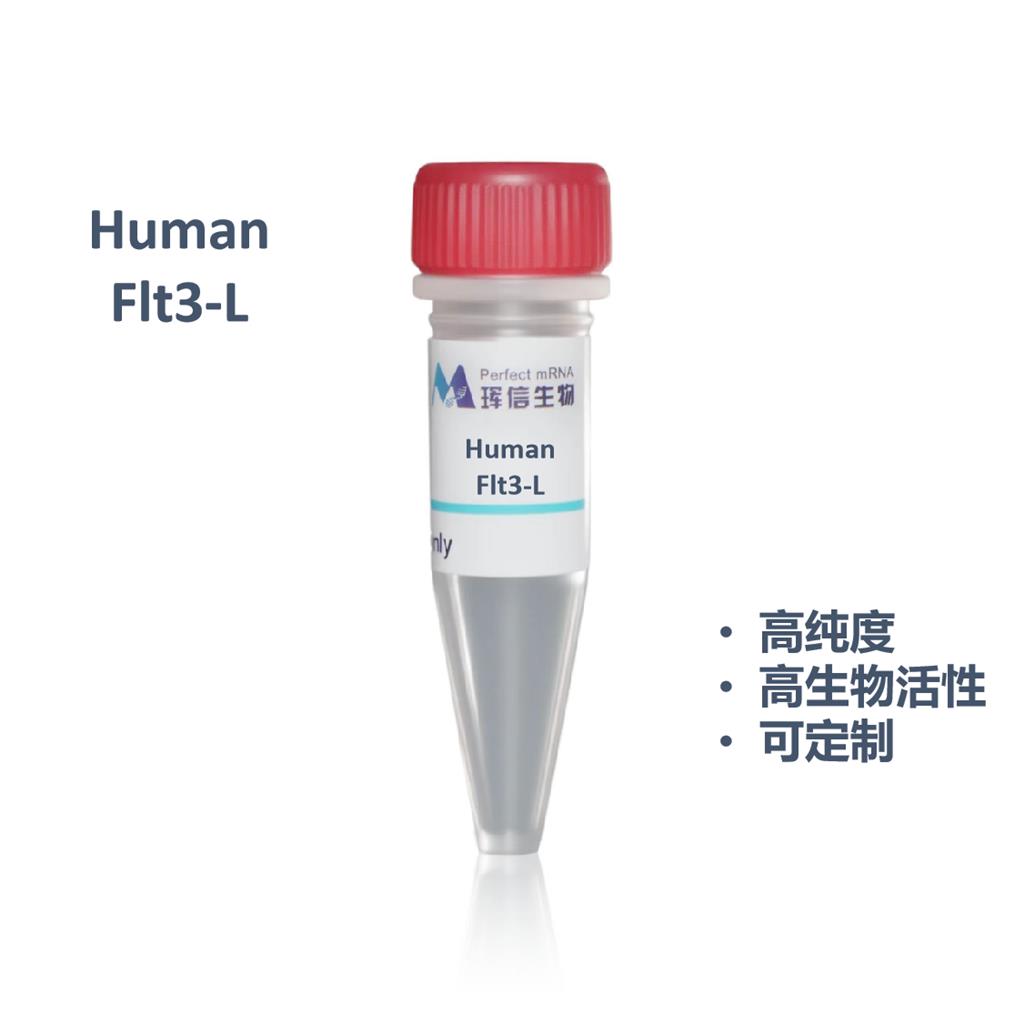 Human Flt3-L蛋白