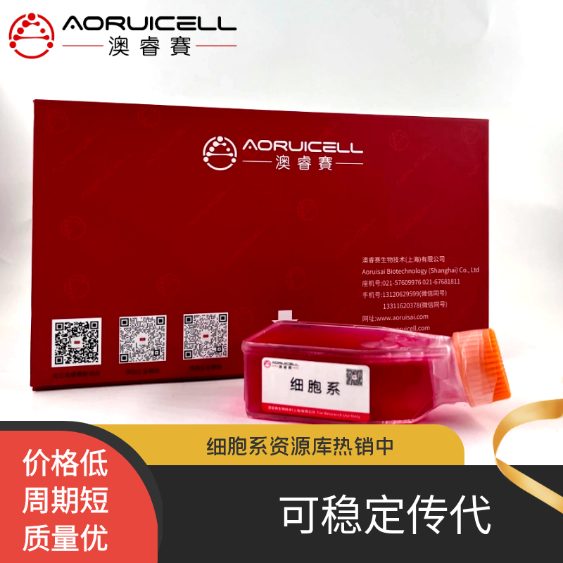 293F（人胚肾细胞-F克隆）