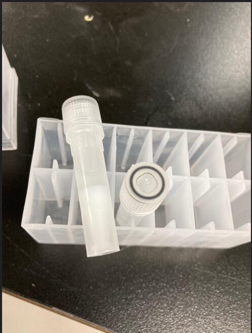 GFP纳米抗体藕连琼脂糖珠（GFP纳米抗体藕连琼脂糖珠）