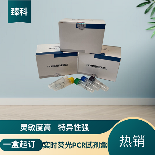 猪痢疾蛇形螺旋体(SH)核酸试剂盒(荧光-PCR法)