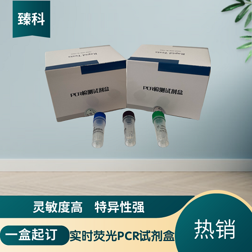 牛支原体（MYPB）核酸检测试剂盒（荧光-PCR法）