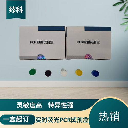 犬衣原体（CP）核酸检测试剂盒（荧光-PCR法）