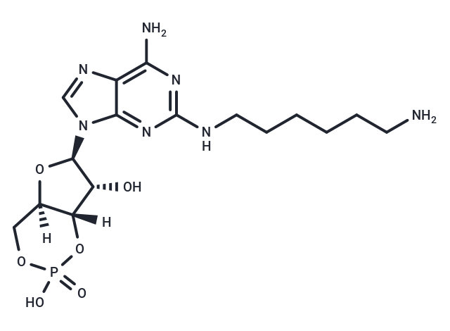 化合物 2-AHA-cAMP|T88674|TargetMol
