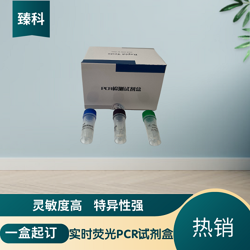 牛副流感病毒3型(BPIV-3)核酸检测试剂盒(荧光-PCR法)