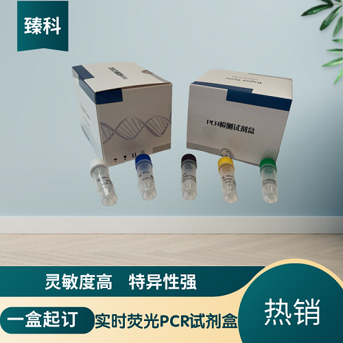 牛副流感病毒3型(BPIV-3)核酸检测试剂盒(荧光-PCR法)