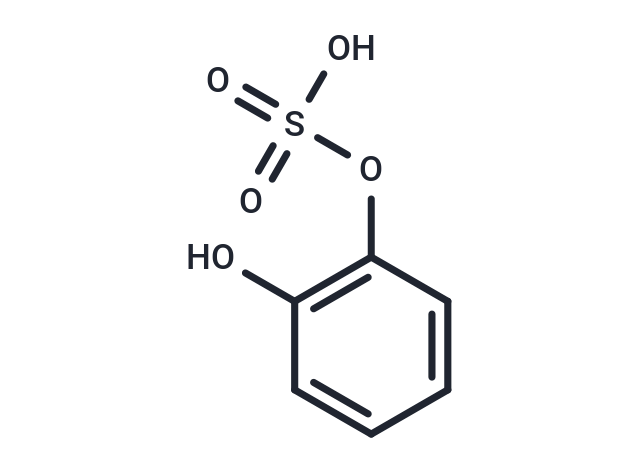 化合物 Pyrocatechol sulfate|T201248|TargetMol