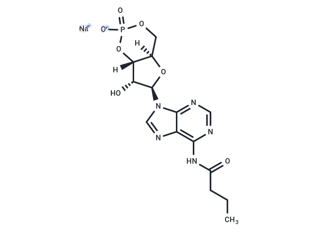 化合物 6-MB-cAMP|T88464|TargetMol