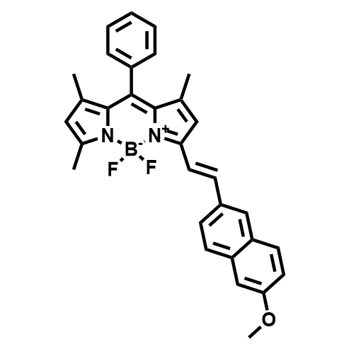 滴靶向极性检测近红色探针WT-X