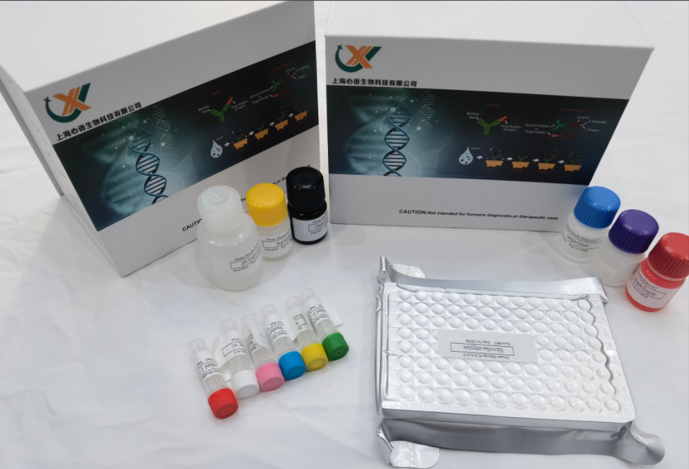 大鼠血小板衍生生长因子BB (PDGF-BB)酶联免疫分析(ELISA)试剂盒