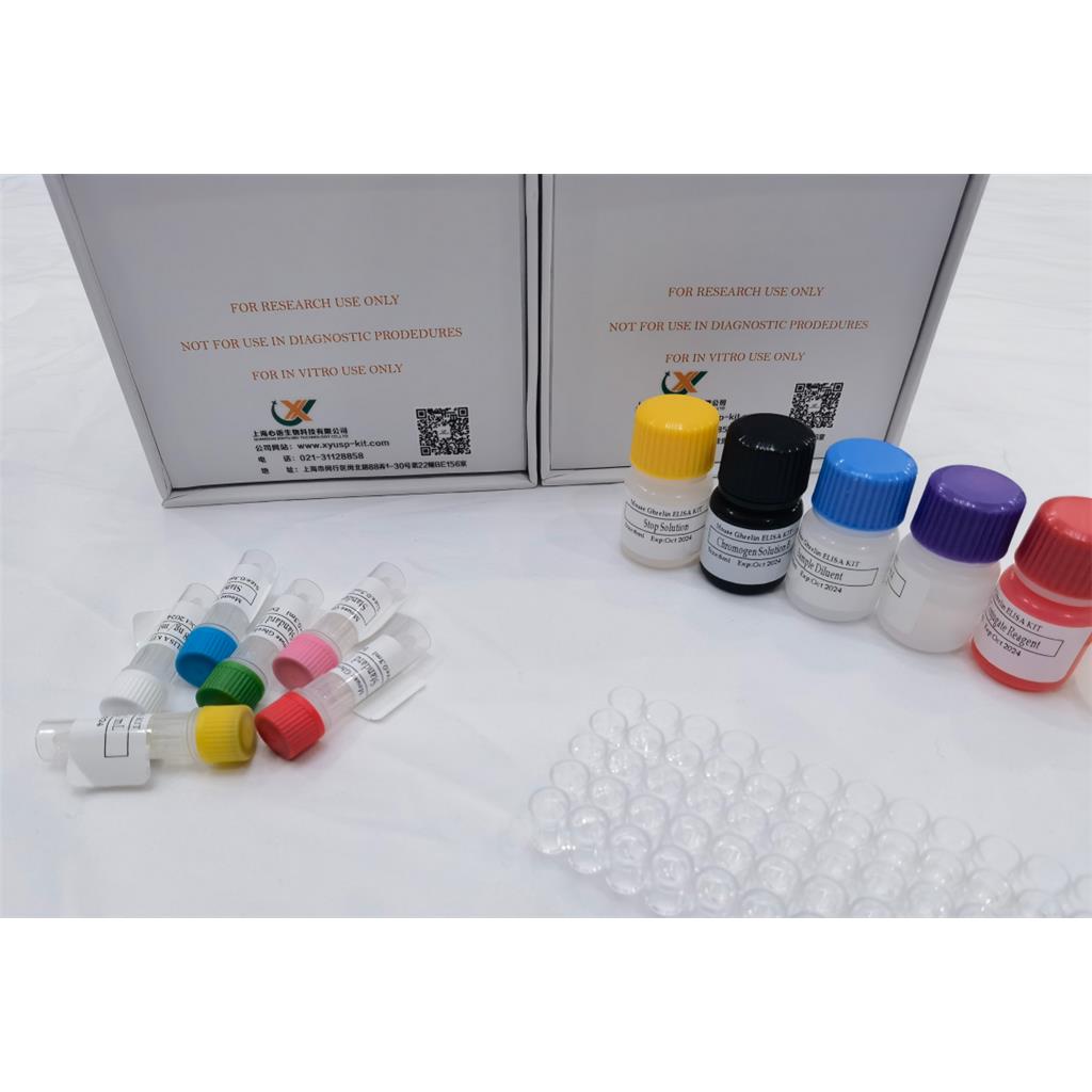 大鼠血小板衍生生长因子BB (PDGF-BB)酶联免疫分析(ELISA)试剂盒