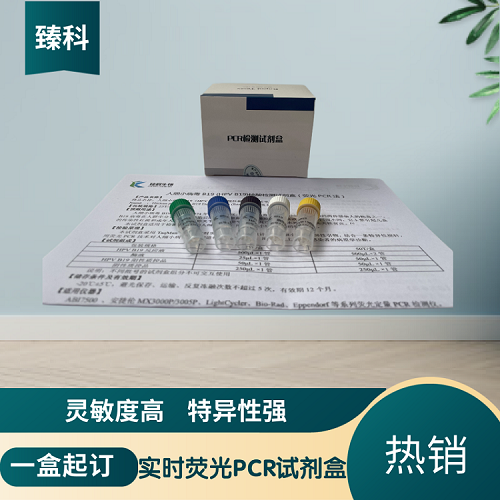 肝胰腺细小病毒（HPV）PCR检测试剂盒