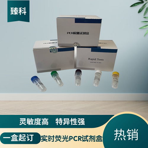 伪狂犬病毒通用(PRV-gH)PCR检测试剂盒