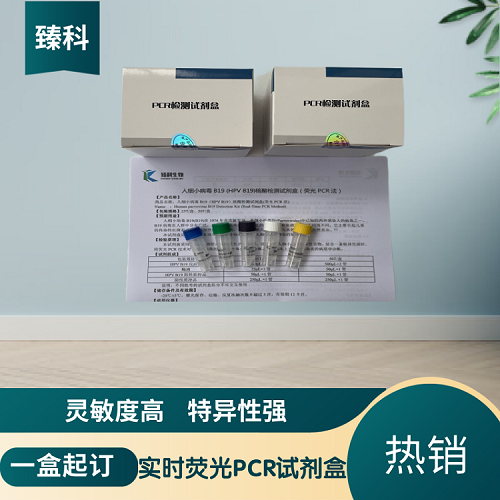 口蹄疫病毒A型PCR检测试剂盒
