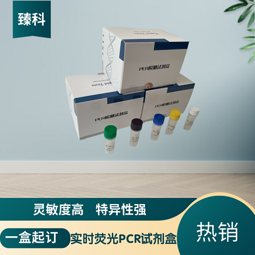 禽网状内皮组织增殖病病毒(REV)PCR检测试剂盒