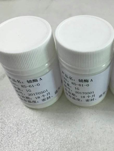 辅酶 A的主要用途