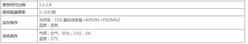 image 2020121001302548511