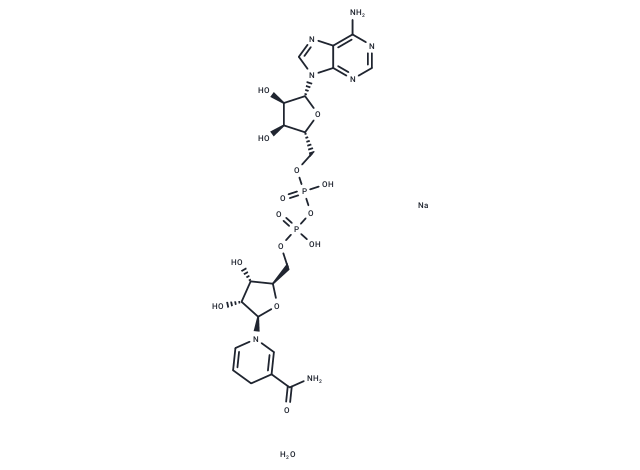 化合物 NADH disodium hydrate|T86953|TargetMol