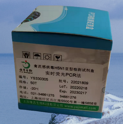 鸡传染性贫血病毒染料法荧光定量PCR试剂盒