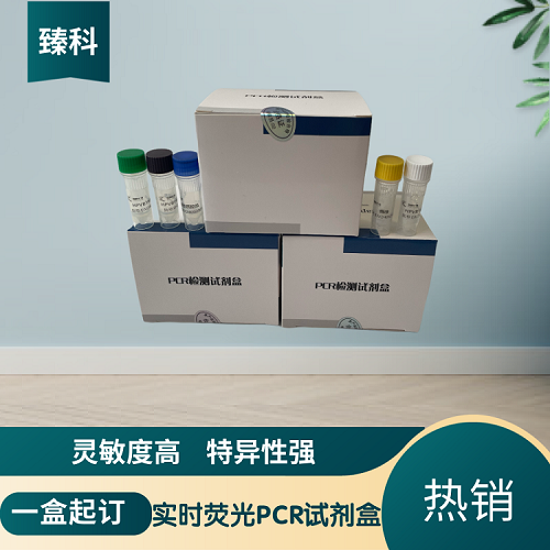 牛流行热病毒核酸检测试剂盒（实时荧光PCR法）