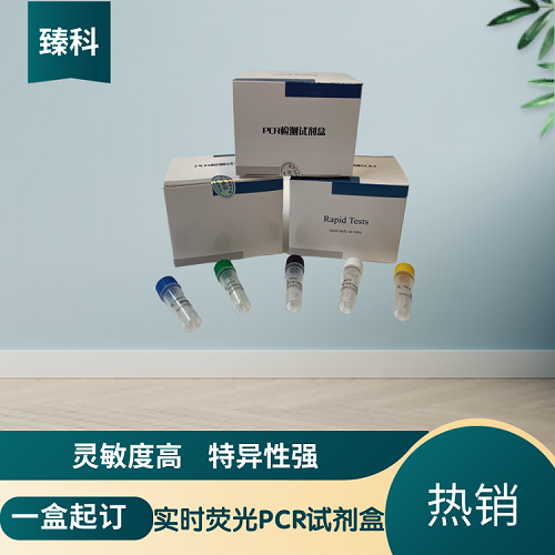 禽流感病毒通用型/新城疫病毒(AIV-U/NDV)核酸检测试剂盒(双重荧光-PCR法)