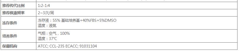 image 2020121108224449541