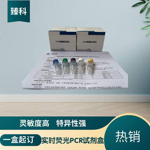 猪流感H1N1病毒(SIV- H1N1)核酸检测试剂盒（双重荧光-PCR法）