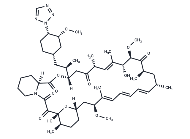 化合物 42-(2-Tetrazolyl)rapamycin|T10158|TargetMol