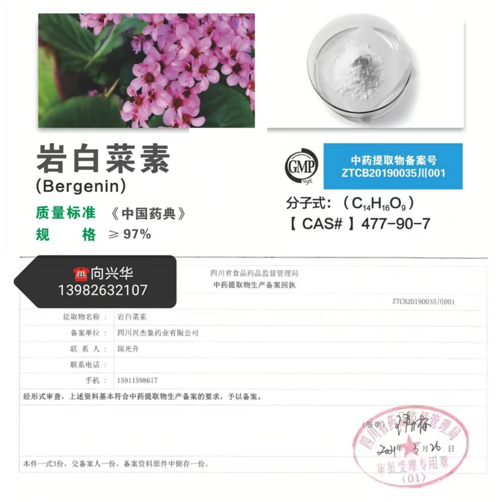 岩白菜素：天然植物提取的镇咳祛痰核心活性成分