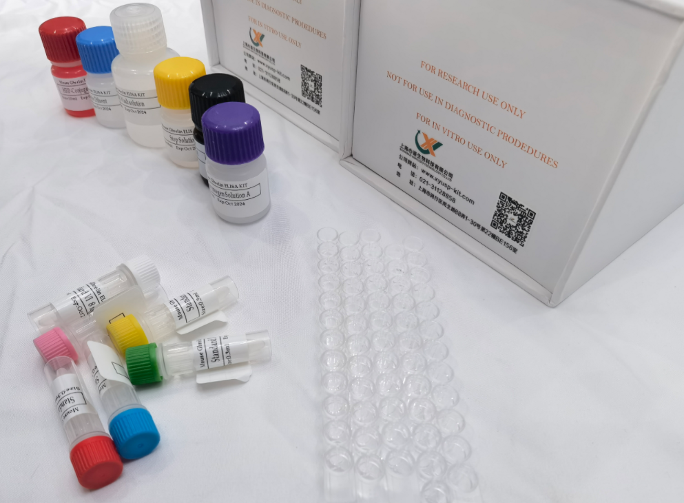 大鼠整合素αV(Itgav)ELISA试剂盒